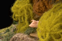 Pig/crewman scoping the scene from the pigpen out back